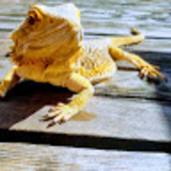 Meet your Posher, Jay - Picture 2 of 3